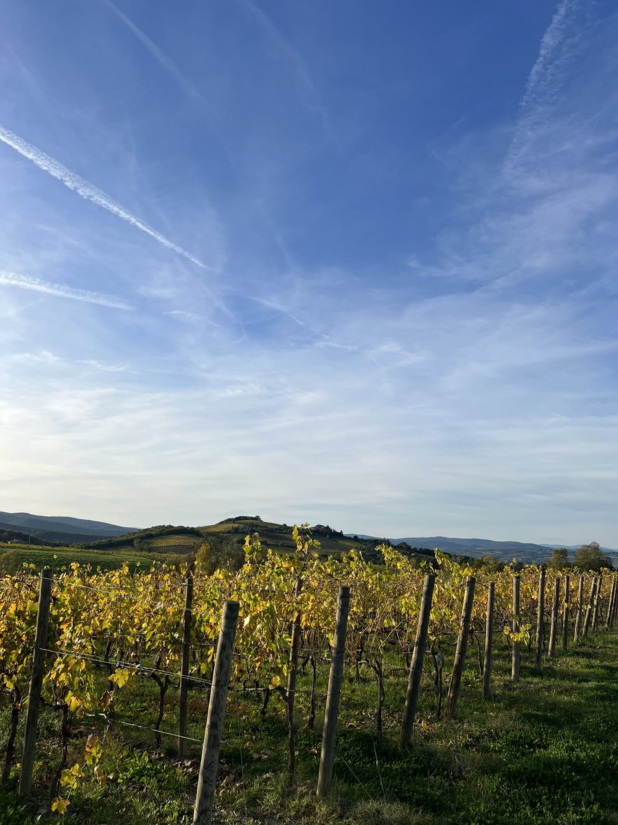 Charming landscapes of #Montalcino