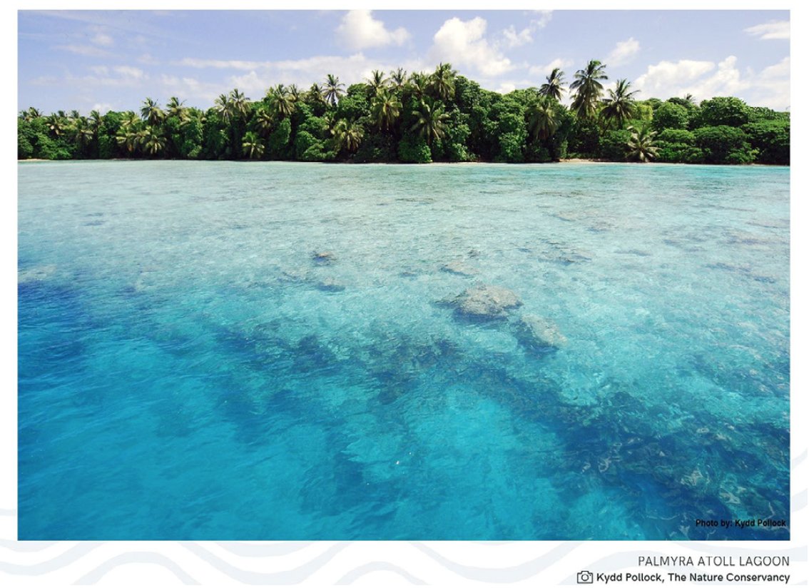 Calling all ocean scientists &amp; cultural practitioners❗️ Join leading traditional ecological knowledge holders &amp; marine scientists to protect one of the last healthy marine ecosystems in the word—The Pacific Remote Islands🏝️! SIGN: forms.gle/ptX9kDPySeLYqt… #ProtectPRI <a href="/PRIcoalition/">Pacific Islands Heritage Coalition</a>