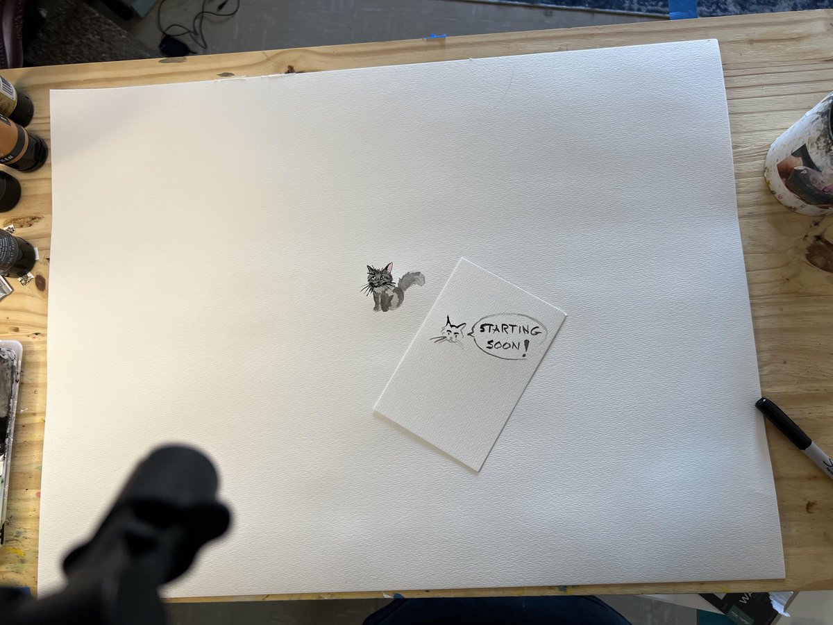 Michael's Cat tweet media