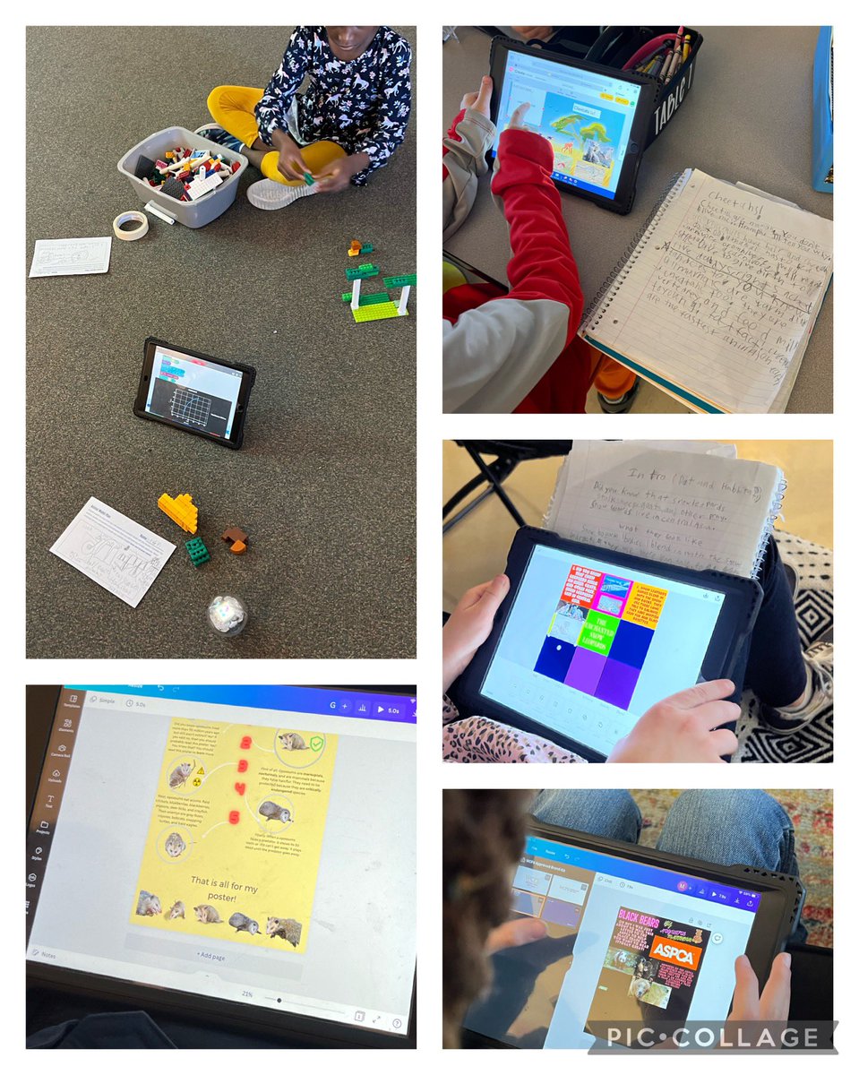 Saw @kaelboyer in action today at #wes!Ss used @worldbookinc & @pebble_go to research animals & had the #choice to present as a poster or using @canva #PebbleGoCreate #Slides @AdobeSpark !➡️Ss coded @SpheroEdu to rep their animals! 🎉INSPIRING!🎉 @AnnKAnders