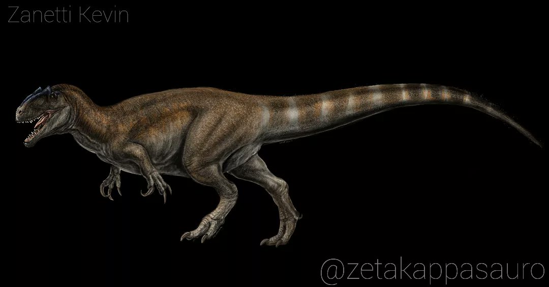 ZKappasauro's tweet photo. Here's Saurophaganax maximus!  Artwork done for @drbriancurtice @fossilcrates__ @ZKappasauro
#dinosaurus #saurophaganax #allosaurus #artwork
#drawing https://t.co/X45ydyFpkC