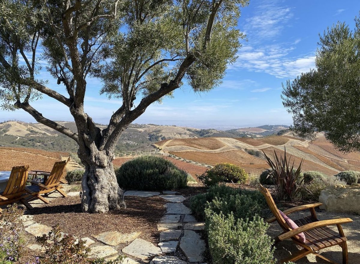 DAOUvineyards's tweet photo. Winter Wonderland ⛰️🍷 https://t.co/dqU42OgCXF