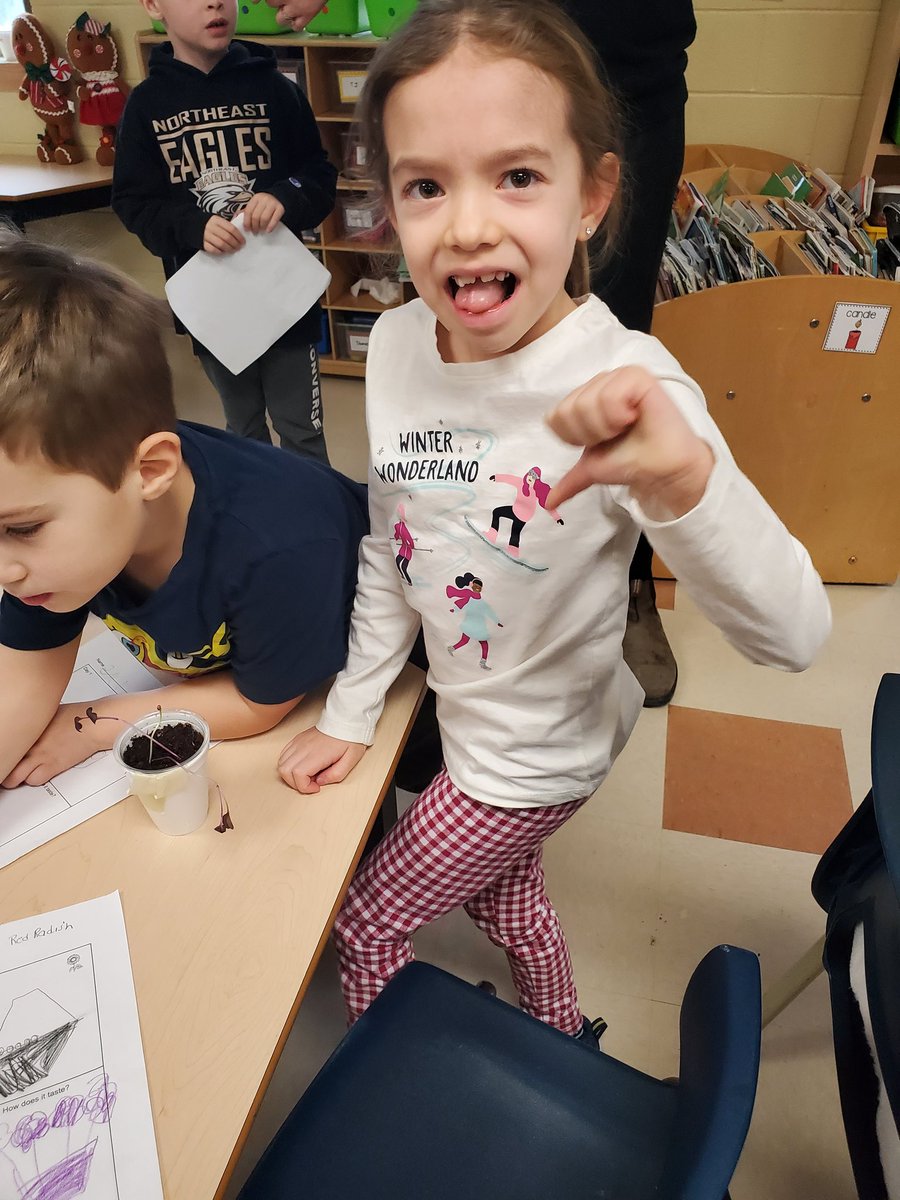 NancyFitz35's tweet photo. Reactions were mixed today as we done a taste test of the micro greens we planted. Red radishes, green peas, and buckwheat. @HTE_K4 @RMitchell_HTE @NLESDCA https://t.co/Ui6A80MscS