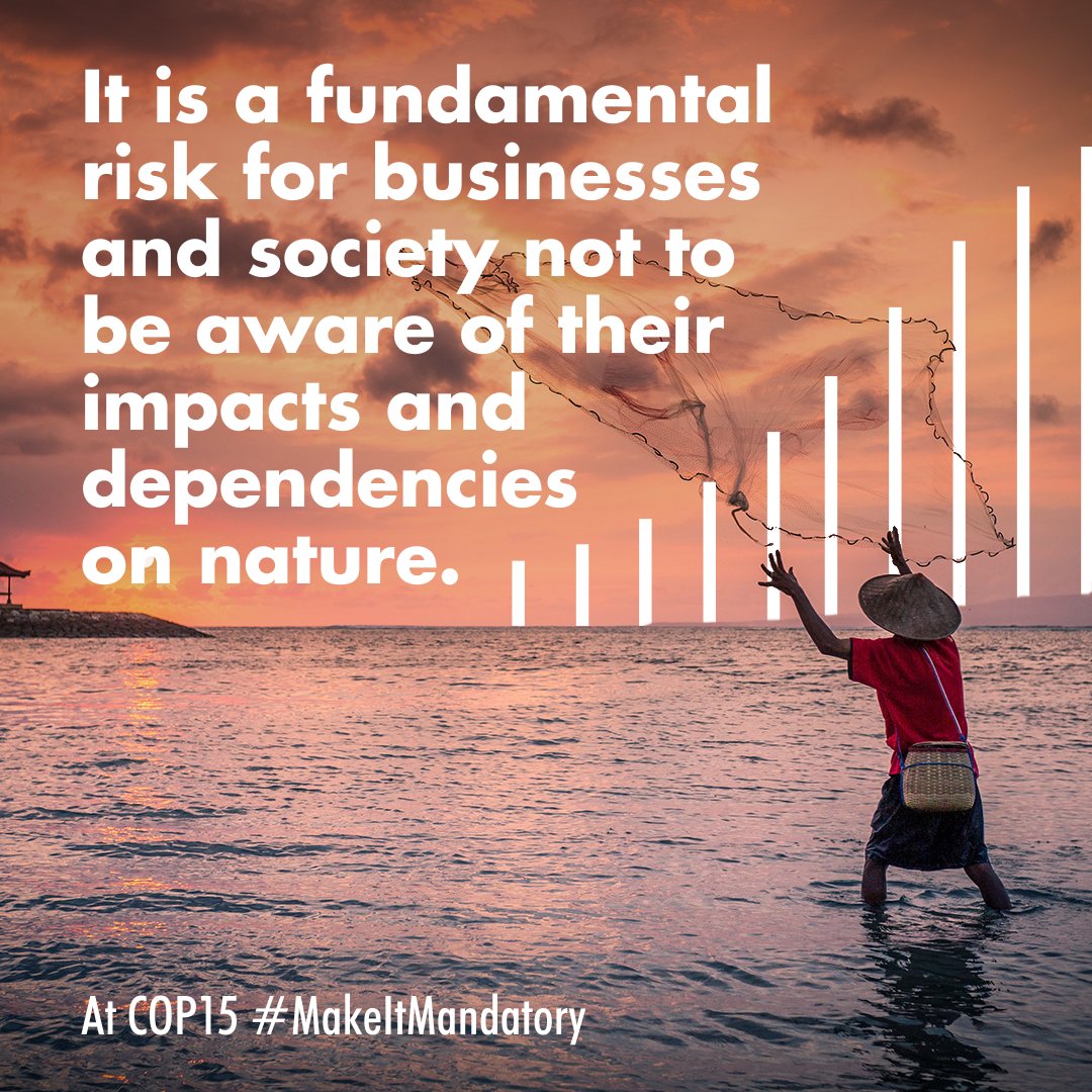 CapsCoalition's tweet photo. 🌍 Our businesses, our economies, our livelihoods all depend on nature.

🌱 Without mandatory assessment &amp; disclosure at #COP15, businesses will not have the information they need to contribute to reversing biodiversity loss by 2030.

#MakeItMandatory
https://t.co/WS3tXXNk9D https://t.co/NDy5WfMt2w