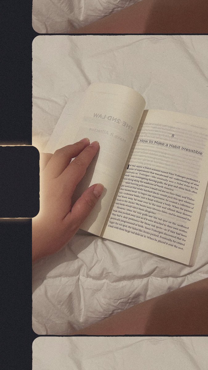 thazzia falek tweet media