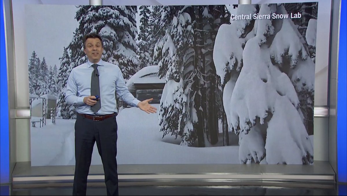 Darren Peck tweet media