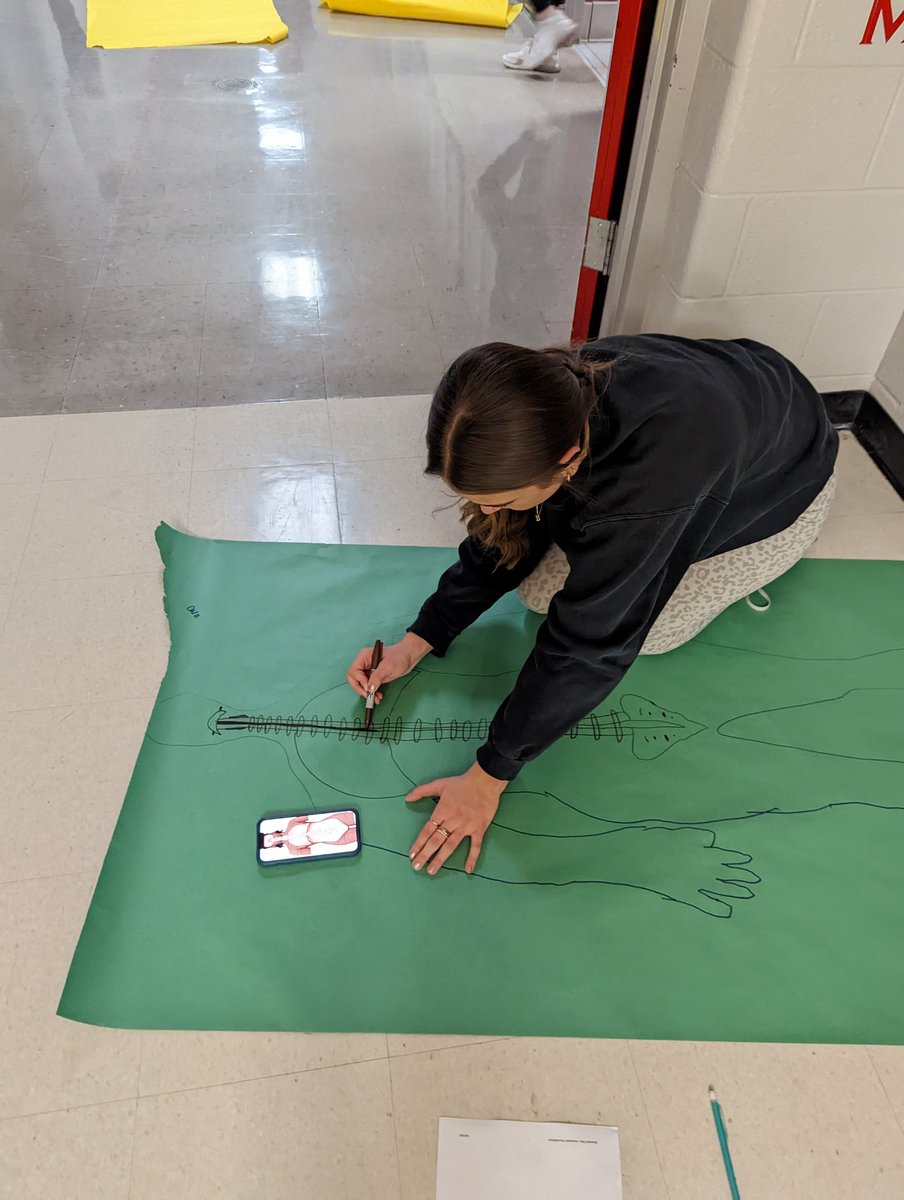 MetzgerMrs's tweet photo. Let's get organized! HS1 students are learning all about Directional terms, body planes, cavities, and quadrants🫁🫀🫁🫀

#onegrosseile #CTE #healthscience #NCHSE https://t.co/3L0ctIoutA
