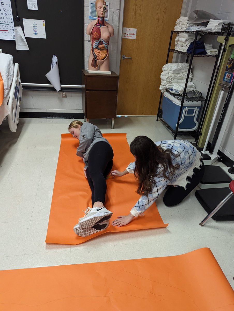 MetzgerMrs's tweet photo. Let's get organized! HS1 students are learning all about Directional terms, body planes, cavities, and quadrants🫁🫀🫁🫀

#onegrosseile #CTE #healthscience #NCHSE https://t.co/3L0ctIoutA
