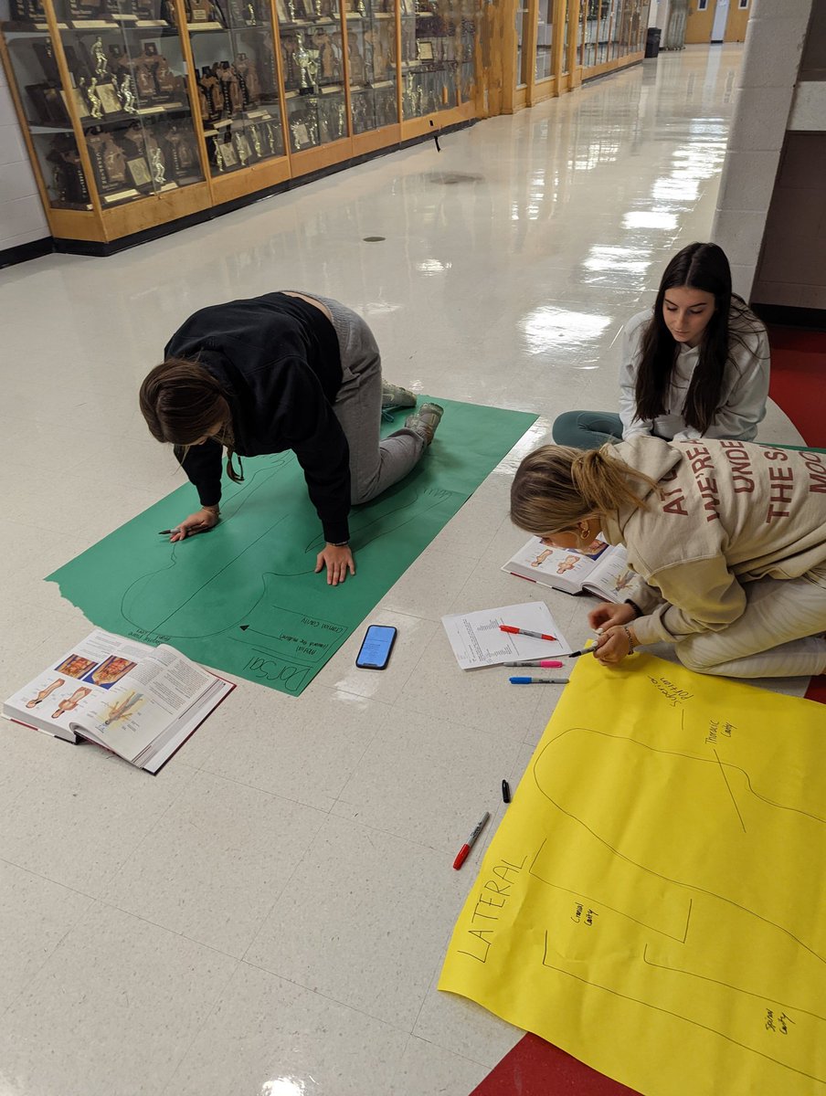 MetzgerMrs's tweet photo. Let's get organized! HS1 students are learning all about Directional terms, body planes, cavities, and quadrants🫁🫀🫁🫀

#onegrosseile #CTE #healthscience #NCHSE https://t.co/3L0ctIoutA