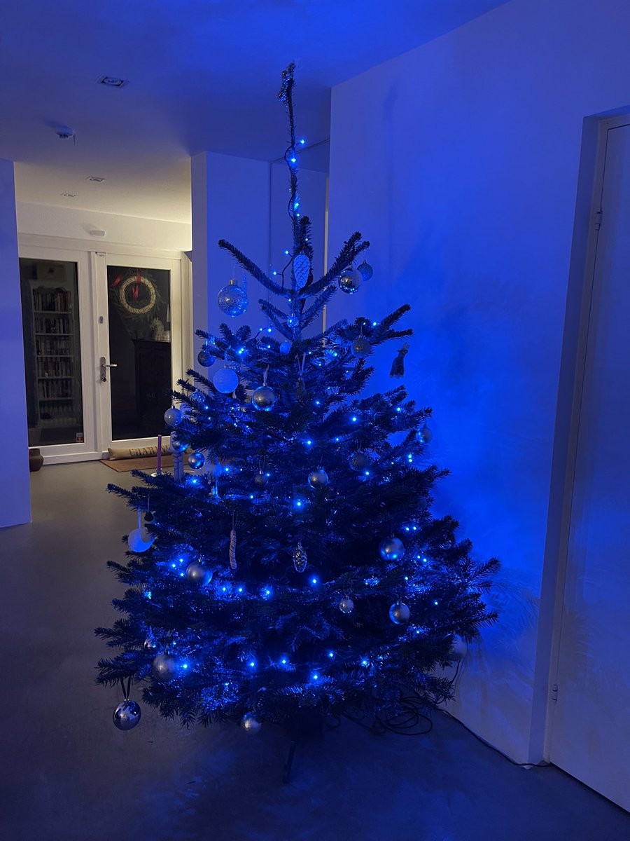 My lovely horse tweet media