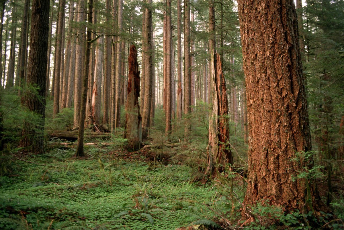 ForestServiceNW tweet picture