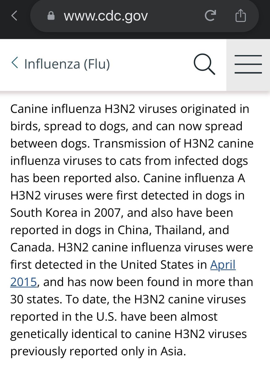 otterX's tweet photo. It got me curious about K9 flu origins. 🐶🦠 #DogFlu 🐴🦠 #HorseFlu 🐦🦠 #BirdFlu 
https://t.co/L5RGf24srh https://t.co/NvwFYZF6BI