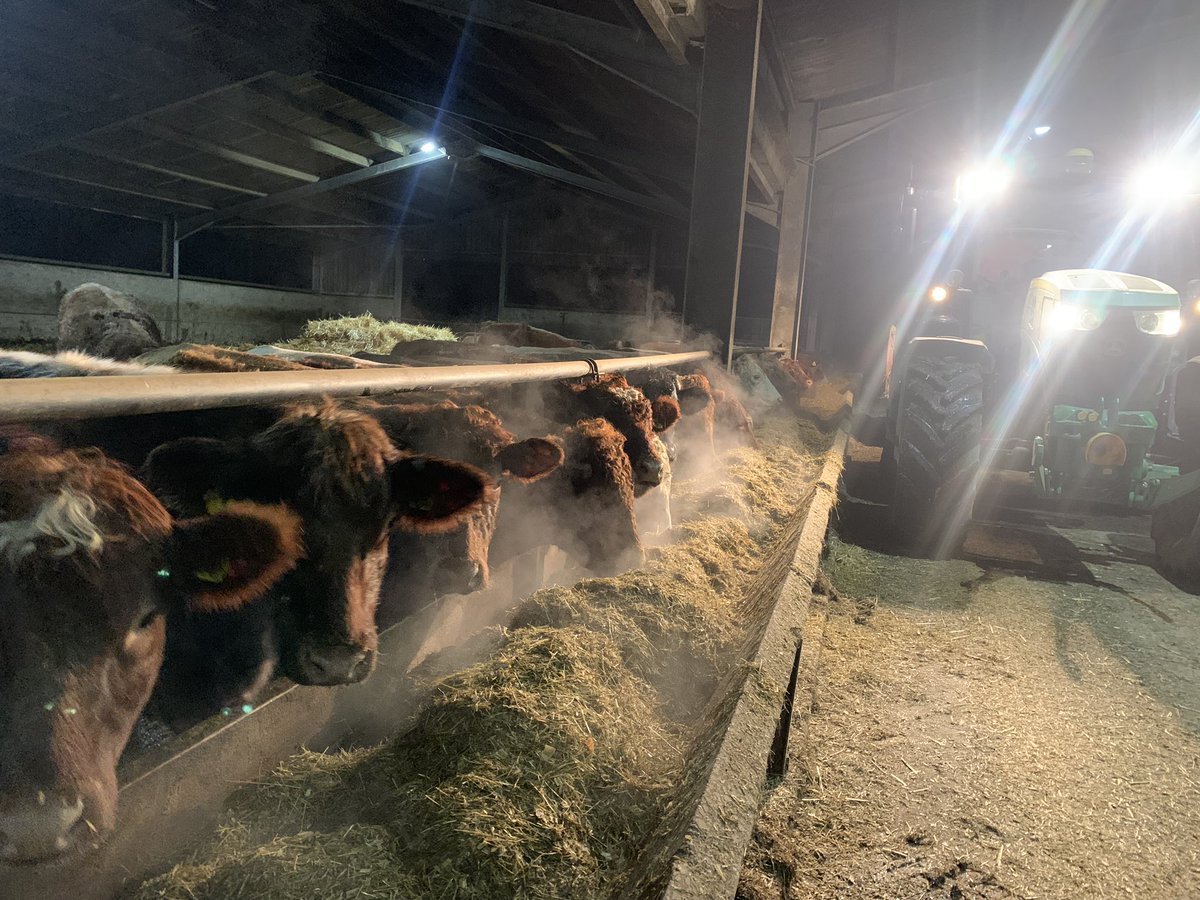 Maximus Pullin tweet media