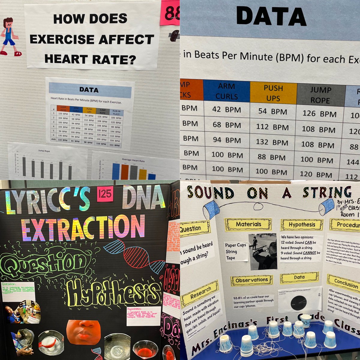 DanielTodd_'s tweet photo. We got a jumpstart on the #ScienceFair this year so students across the school can spend time viewing and voting on the projects (&amp; getting excited about #science!). Thank you Mrs. Johnston, staff, &amp; community for helping make this happen! Go Hawks! 
🧪🧫 🧬 https://t.co/MDRAWEAek0