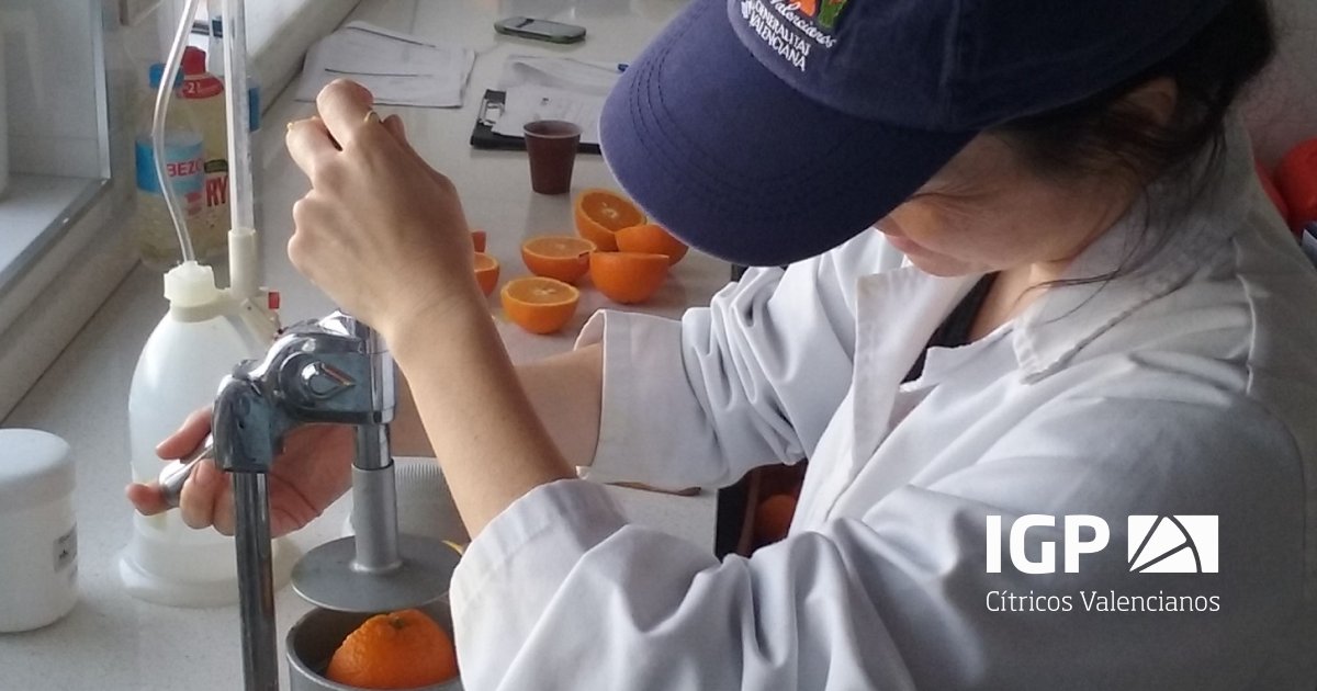 Para que las #naranjas y #mandarinas lleguen a tu mesa en óptimas condiciones, un equipo de técnicos supervisa la fruta en los almacenes y en campo. Pensamos en ti.