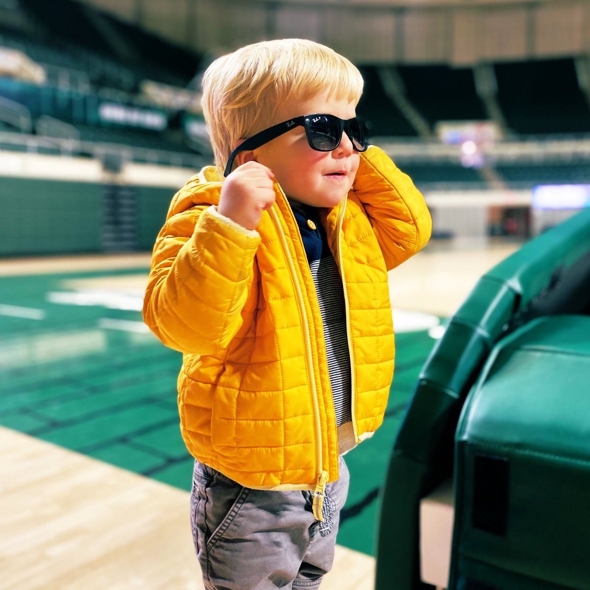 Ryan O'Connor tweet media