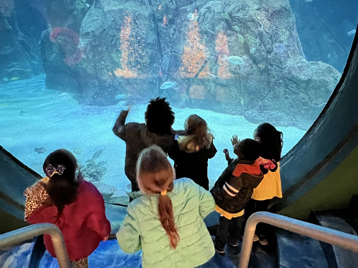 Field Trippin’ with the <a href="/MSSjaguars/">Marshall Street School</a> kindergarten was a fun adventure!