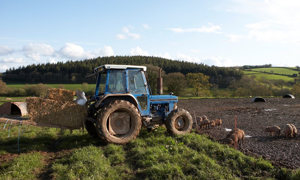 BLINGproject tweet media