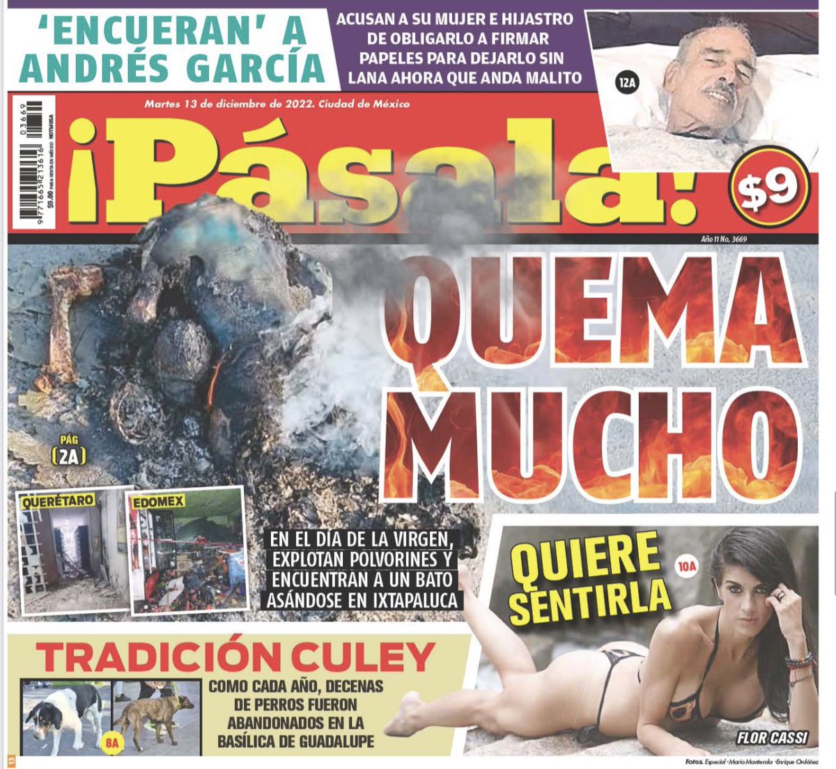florcassi's tweet photo. Los que están en el centro del país corran a comprar tb el @DiarioPasala ♥️♥️♥️♥️♥️♥️#pasala #cdmx #florcassi #portada https://t.co/gYIy5uWJZI