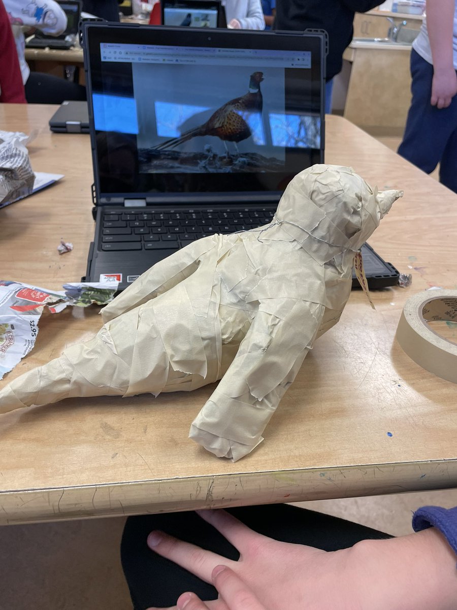 DouglasESDragon's tweet photo. Backyard birds day 2. They’re really taking shape. @PTADouglasES @UnitedArtsWake @wcpssmagnets @AplusSchoolsNC https://t.co/Kxjx4tNxqO