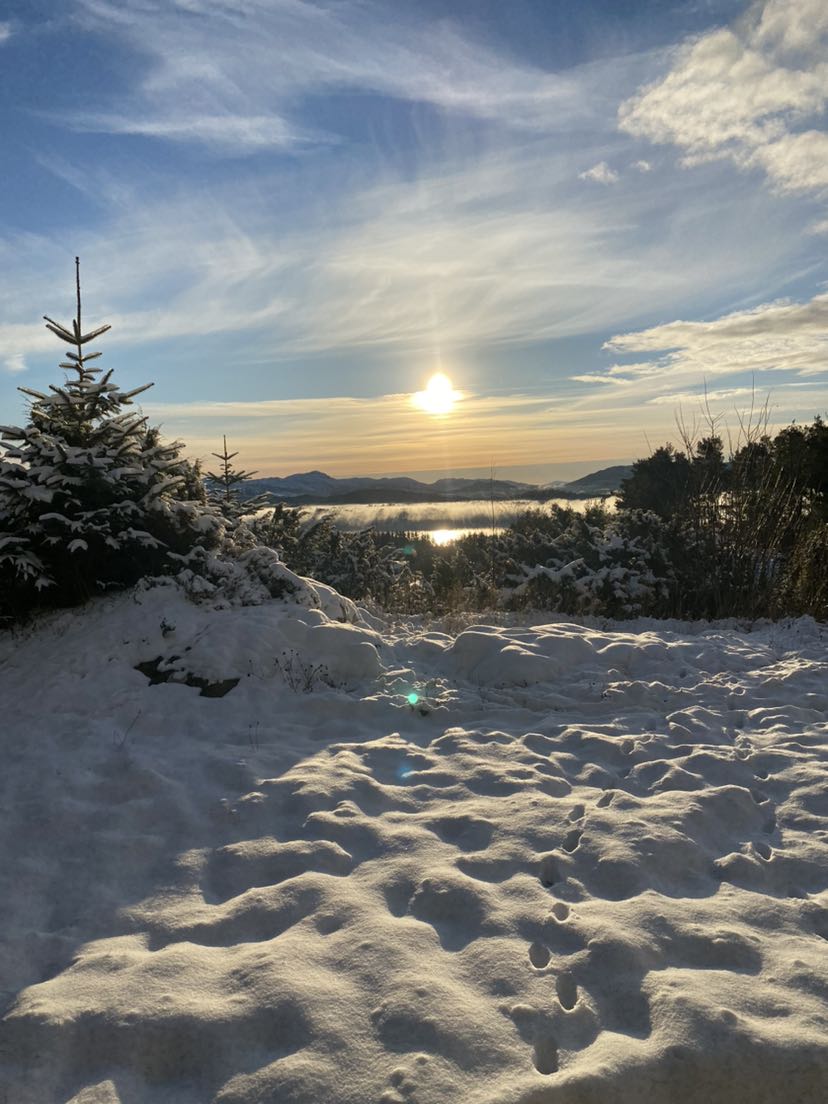 🥰☃️❄