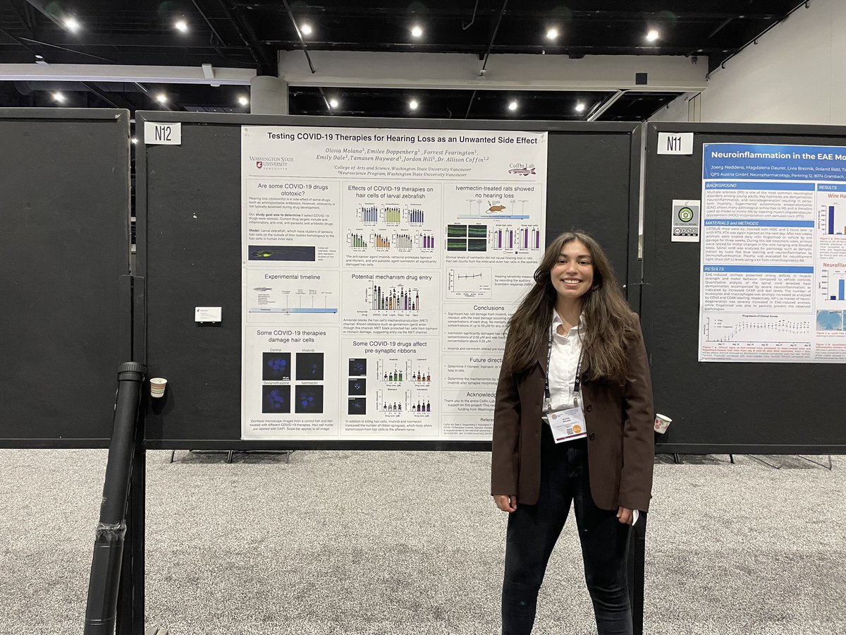 Coffin Lab (@coffinlab) on Twitter photo Lab members Emily and Olivia presented excellent work at the <a href="/SfNtweets/">Society for Neuroscience (SfN)</a> conference this year! Emily presented on the role of inflammation & oxidative stress in age-related hearing loss and Olivia presented on how Covid19 therapies may cause hearing loss. <a href="/allison_coffin/">Allison Coffin, PhD</a> Lab members Emily and Olivia presented excellent work at the <a href="/SfNtweets/">Society for Neuroscience (SfN)</a> conference this year! Emily presented on the role of inflammation & oxidative stress in age-related hearing loss and Olivia presented on how Covid19 therapies may cause hearing loss. <a href="/allison_coffin/">Allison Coffin, PhD</a>