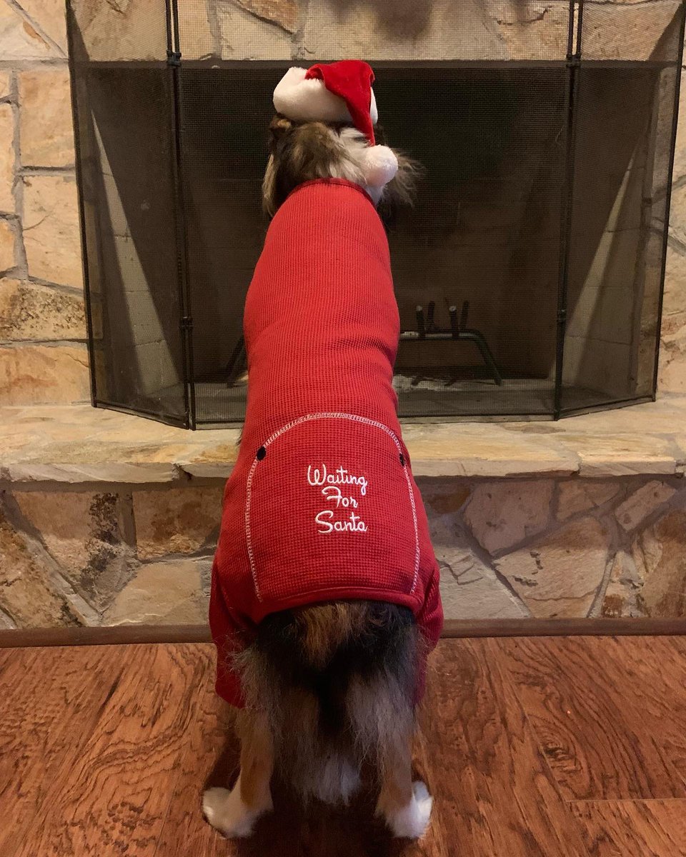 Angel Paws CFBC tweet media