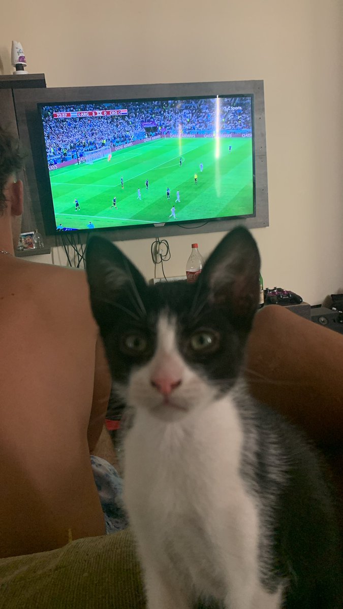 🇦🇷