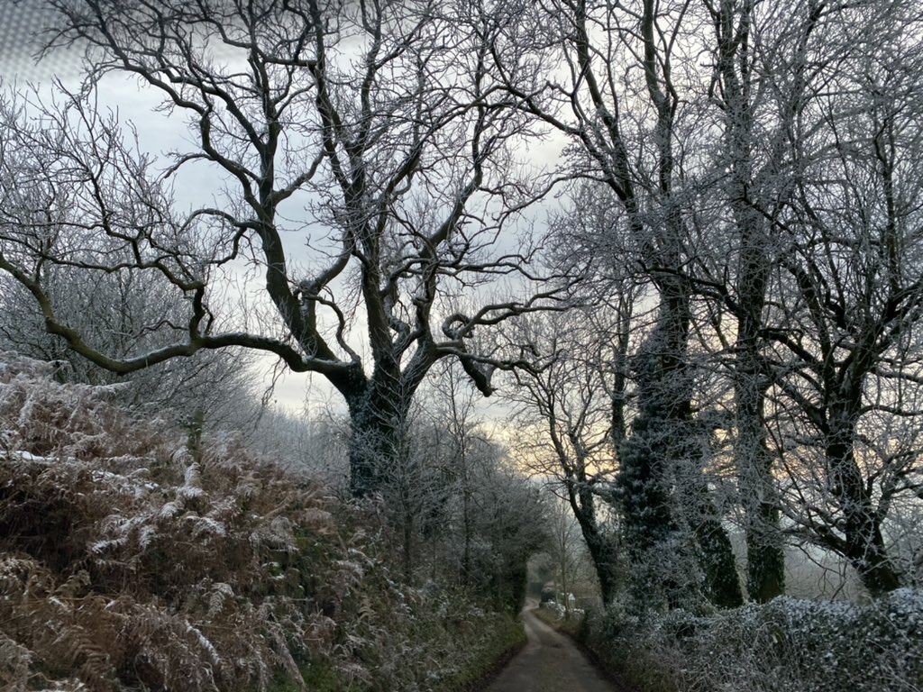 seaparkin's tweet photo. View from Derbyshire Record office warm room to roads to far colder work. Pretty on the tops where the frost lingered. #frost #snow #oldways #trees #riber #warmrooms #derbyshire https://t.co/CL7GQE6vrw