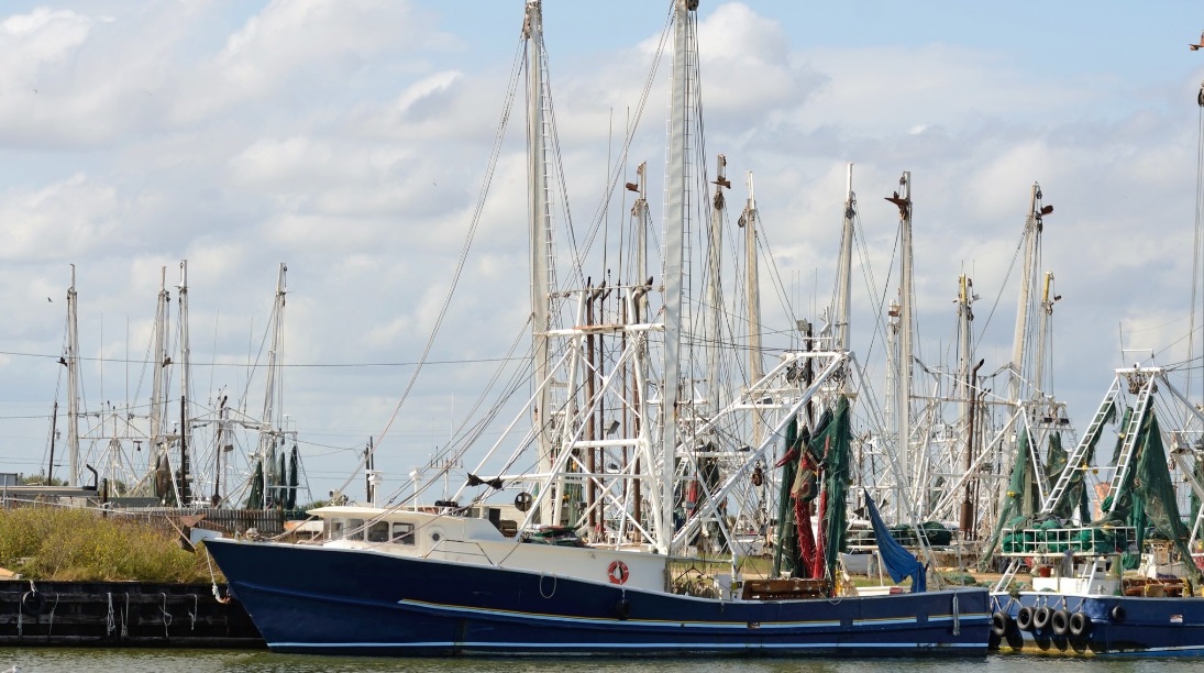 US Gulf of Mexico, South Atlantic shrimp hauls a mixed bag so far in 2022, reports <a href="/JrSambides/">Nick Sambides Jr.</a> bit.ly/3UTlQEP