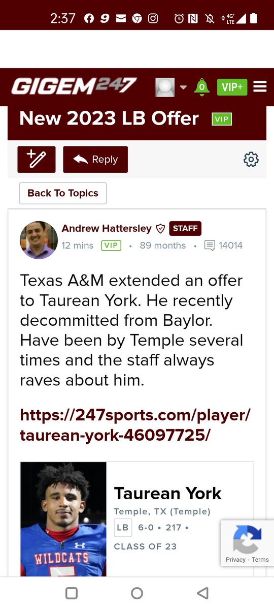 Fj4qHAWXkAATJoF?format=jpg&name=medium