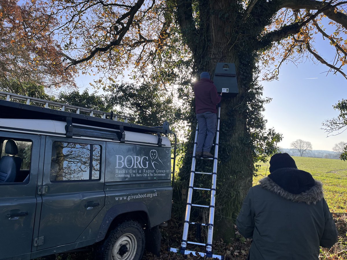 groundsfarm's tweet photo. New owl box up this week courtesy of @Borg_Owl_Raptor https://t.co/P83qE8hbUT