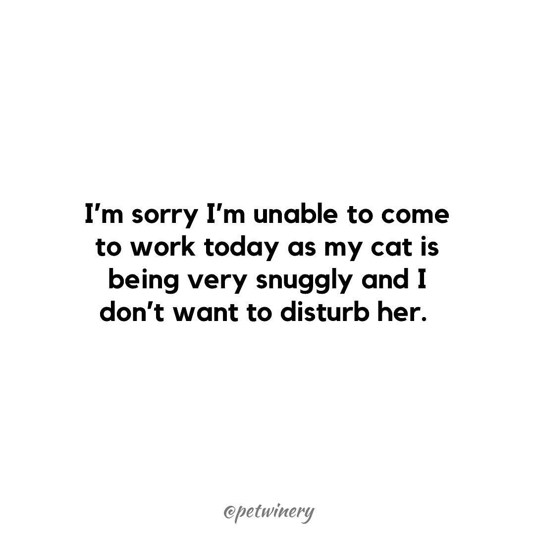 PetWinery tweet media