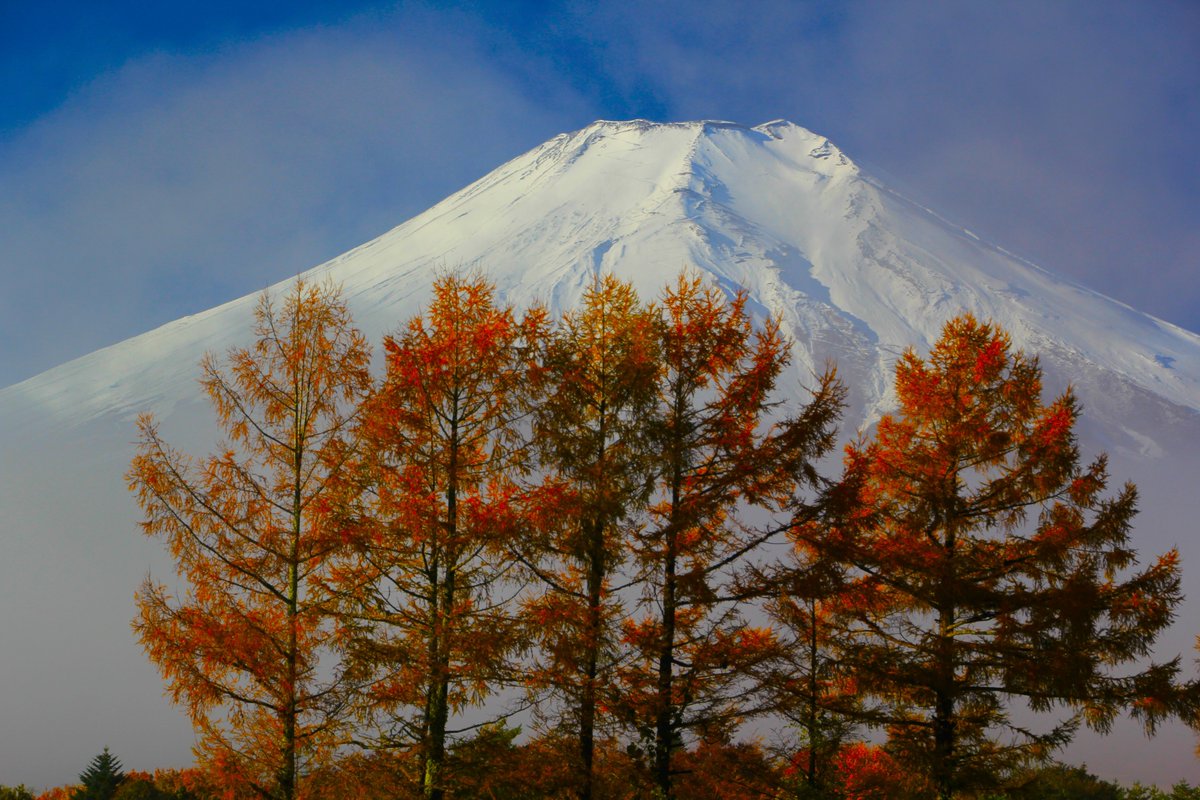 霧の中から ＃富士山