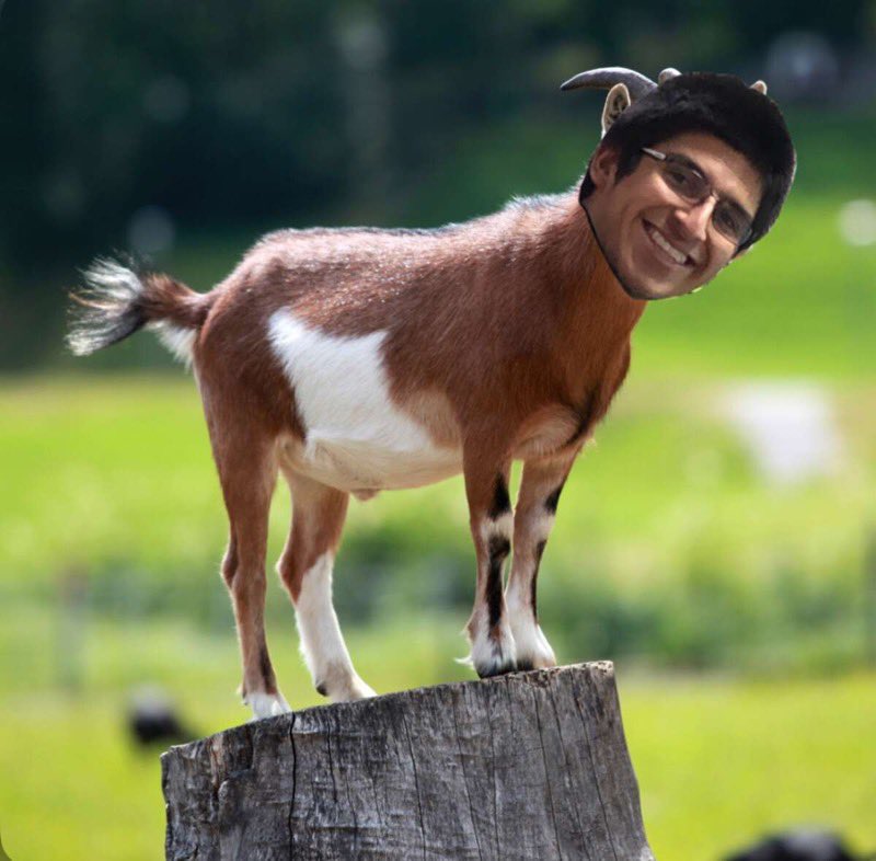 Barstool_IWHS's tweet photo. Damian (mouthpiece) Alvarado  

Buddies the goat https://t.co/GC48sJrTQC