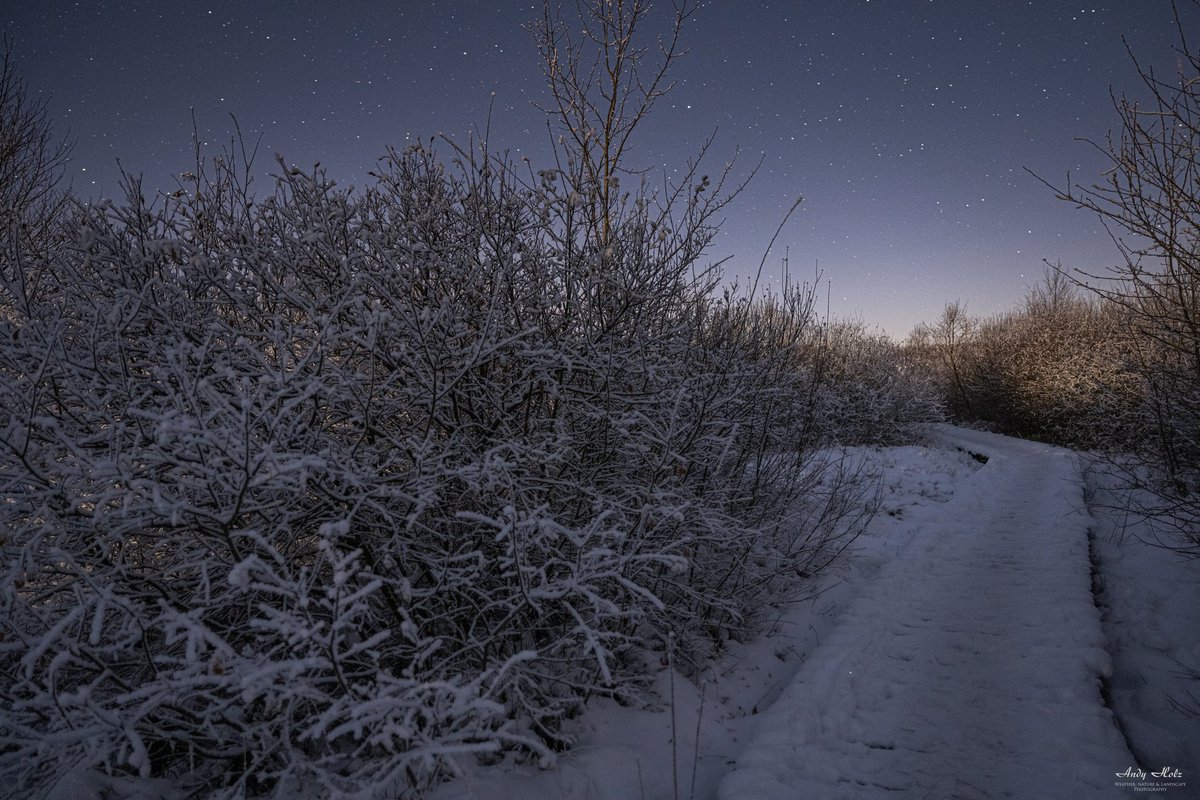 Brackvenn bei klarem Wintermärchen und -10 Grad, 12.12.2022

#hohesvenn #eifel #winter #Wintermärchen #sterne #moonlight