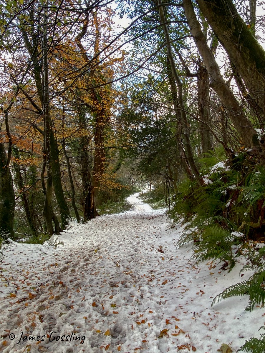 Hartland Aerial Photography (@jgossling_hap) on Twitter photo 