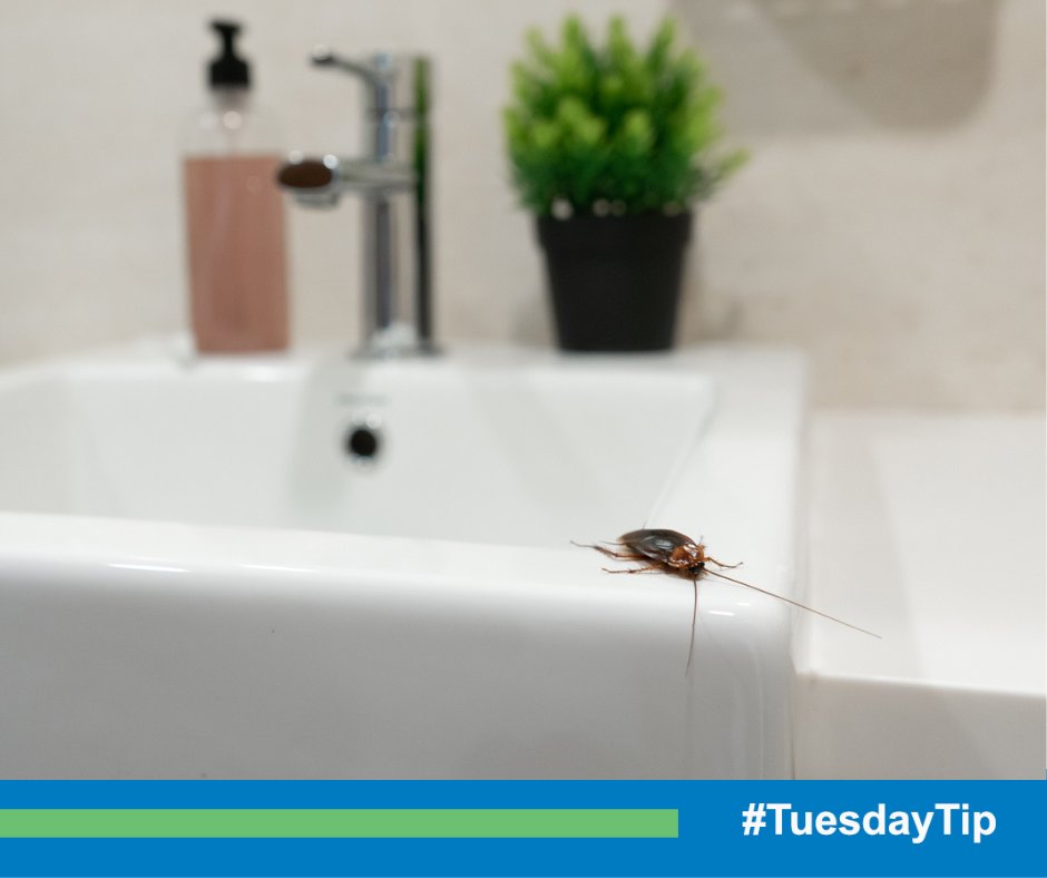 HomeTeamPestDefense tweet media