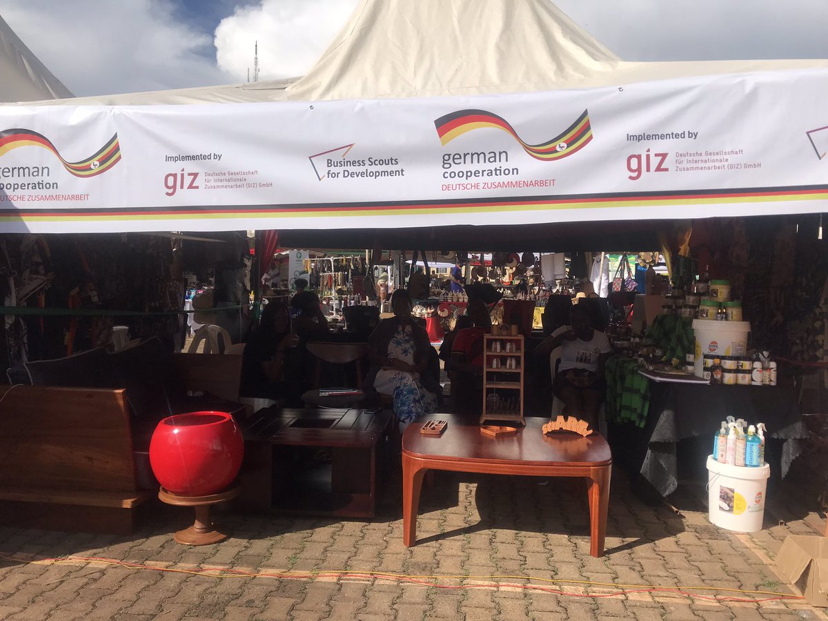 Dona Sava tweet media