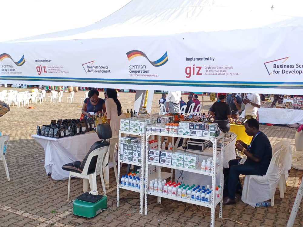 Dona Sava tweet media