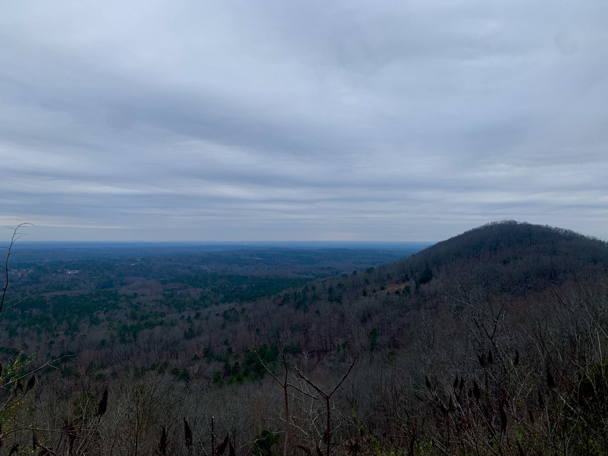 Kevin Avery tweet media