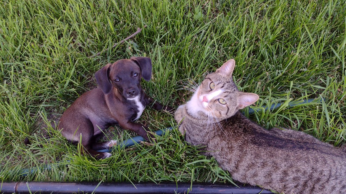 Michizzle tweet media