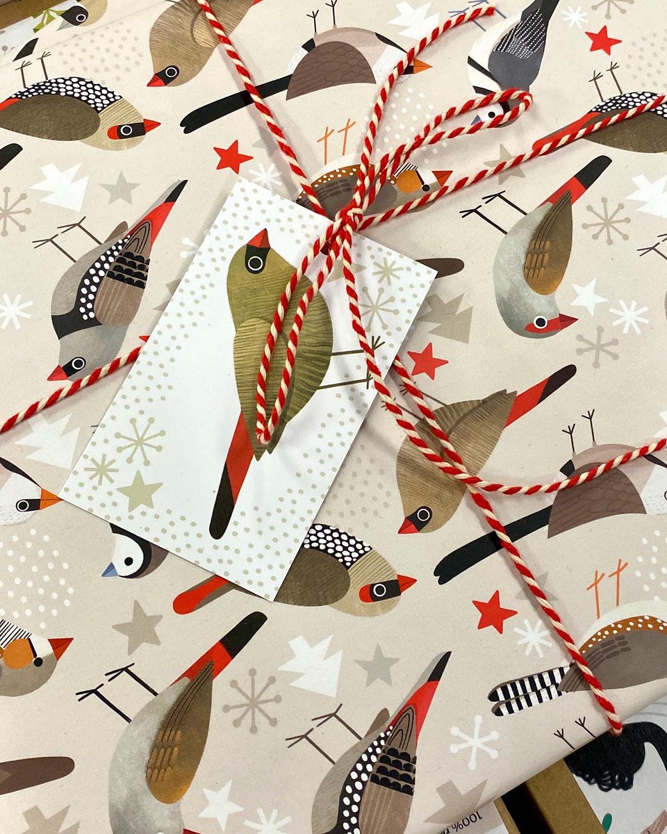 SarahAllenFinch's tweet photo. I turned some of my favourite finches into this design. 100% recycled paper and tag. #firetailfinch #australianbirds #finches https://t.co/hIjm5aWPWd