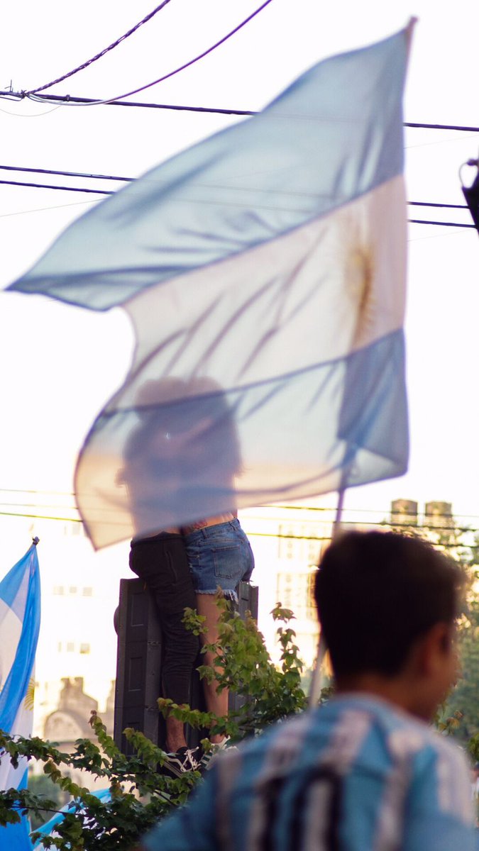 Bauhasaurus tweet media