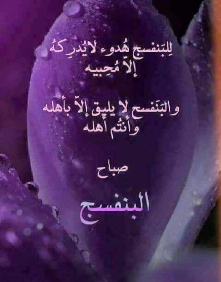 صباح البنفسج ☔️