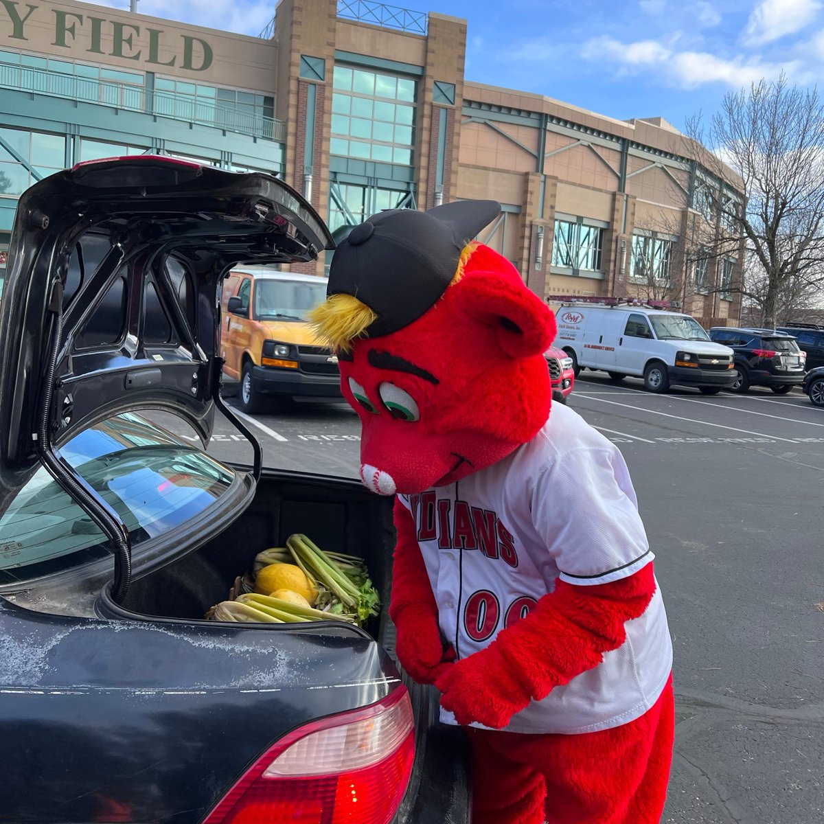 GleanersFBIndy's tweet photo. We had such a great time teaming up with Indiana WIC and the Indianapolis Indians to serve Hoosiers yesterday! 475 households left Victory Field with trunks full of grocery items -- even Rowdie lent us a helping hand!
#WeFeedIND #GleanersFoodBank #IndianaWIC https://t.co/0Mxfrwn77q
