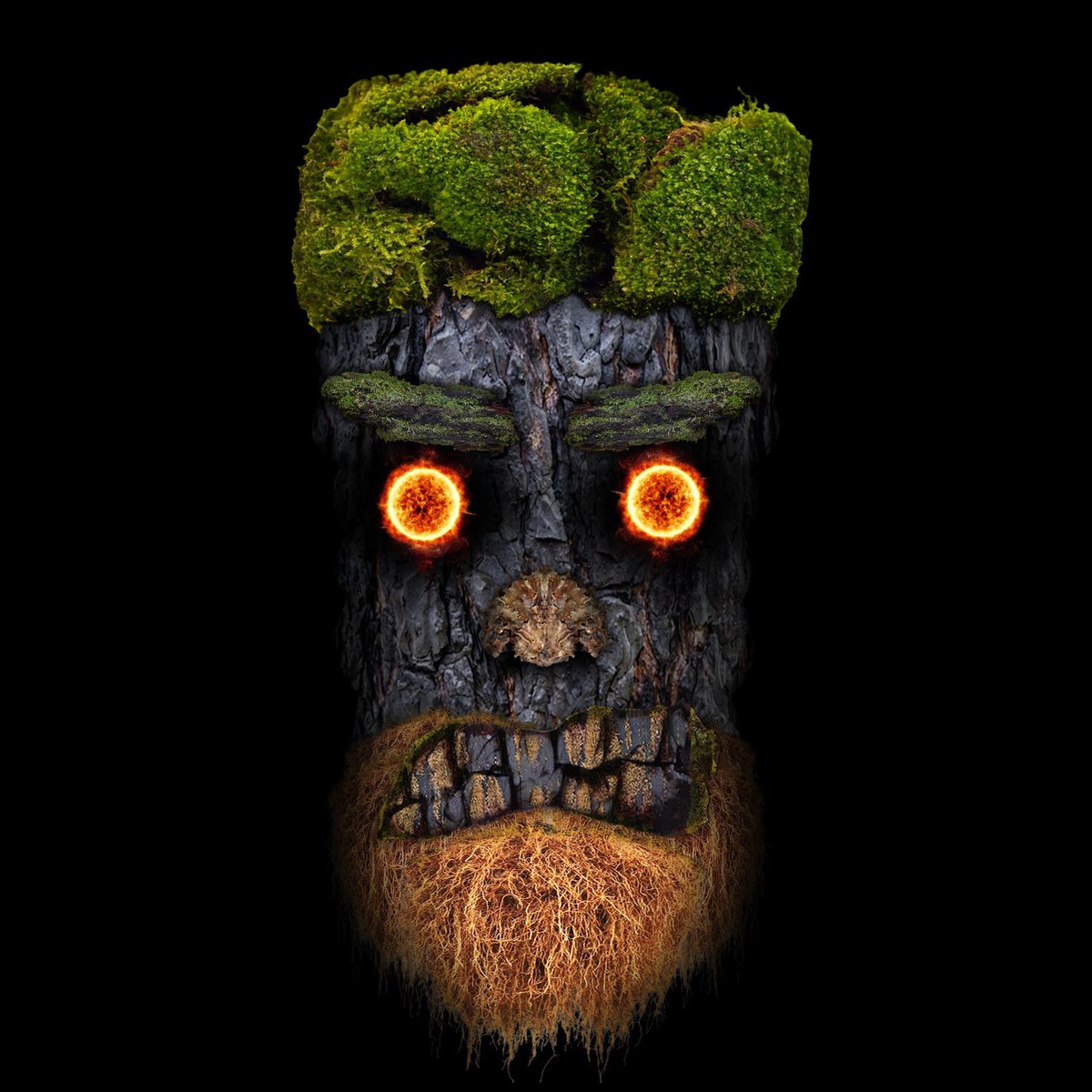 Tweet_Willy's tweet photo. As Nature entails everything we are, @AkuAku369 is a project all about nature, team been working hard to bring this into reality, promoting oneness and peace, it's all about Nature!
#mn369 #WeAre369 @AkuAku369 https://t.co/pdkvVr3TPt