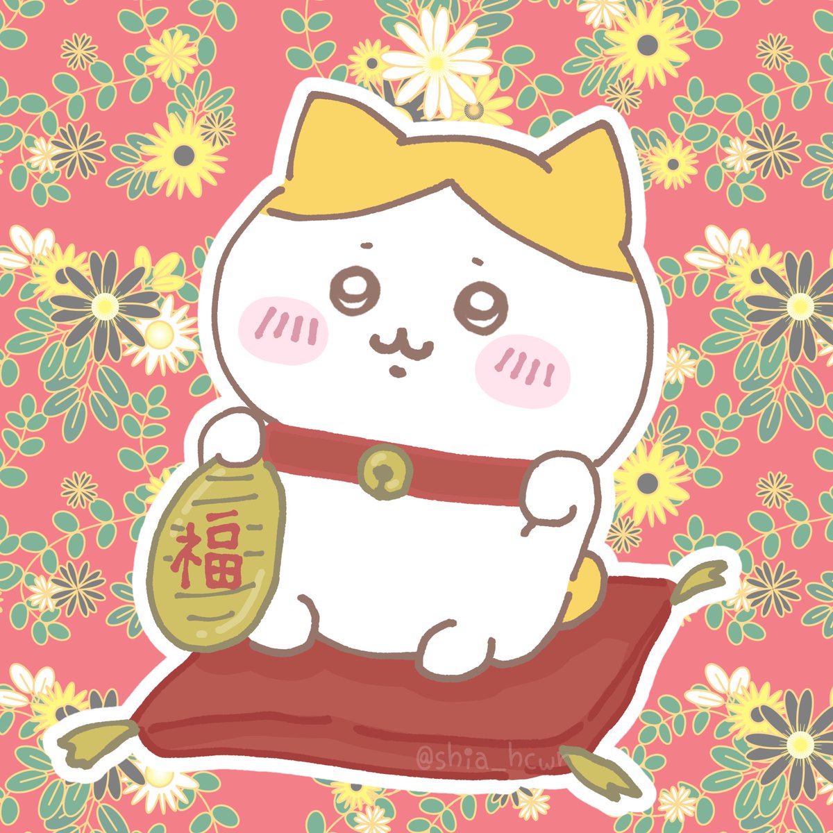 ✨🐱昨日のアンケート1位🐱✨ 招福ハチワレちゃん💓 3枚目はおまけで