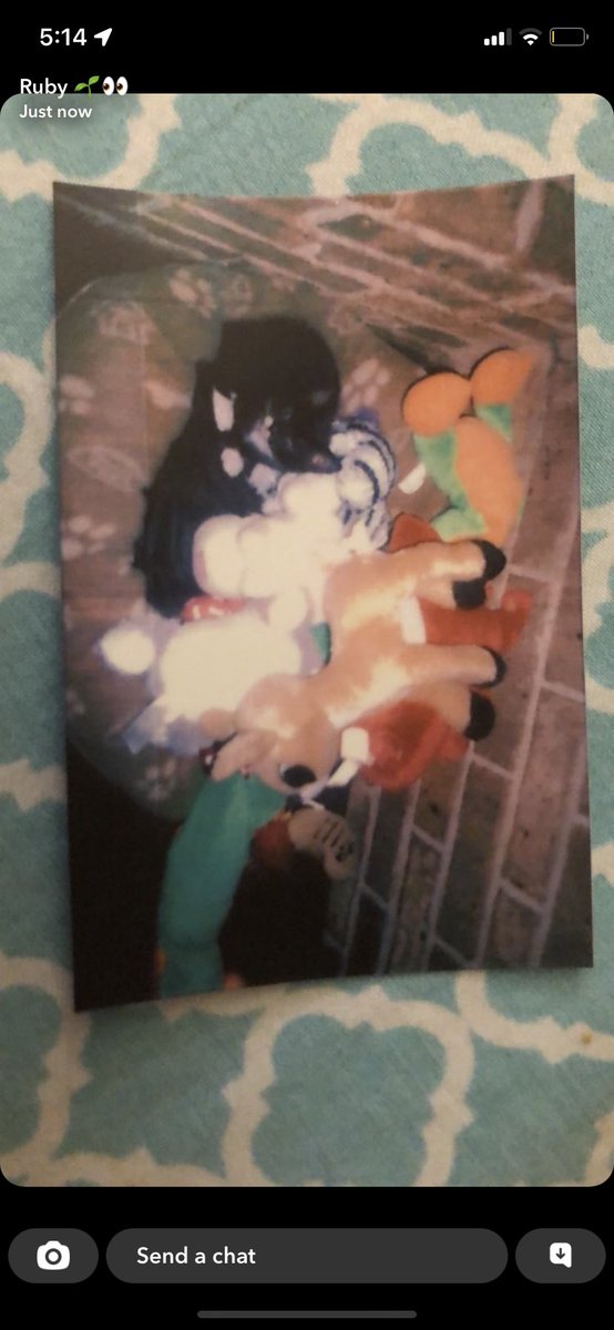 WobbleKook's tweet photo. NEW BABY OOGIE PHOTOS WERE FOUND!!!!! look at how TINY she was omg https://t.co/je08knvsOq