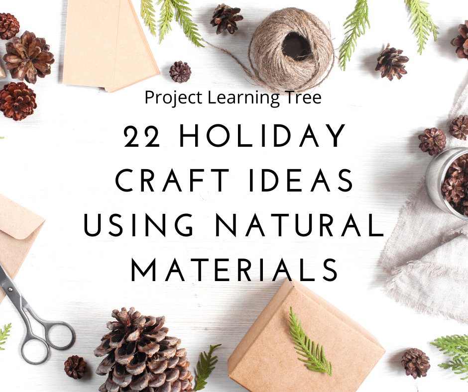 Get in the holiday spirit with these '22 Holiday Craft Ideas Using Natural Materials' from <a href="/PLT/">Project Learning Tree</a>! Cut down waste and use your imagination by transforming ordinary objects into holiday joy! 
plt.org/educator-tips/…